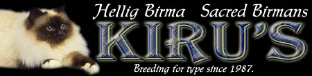 GIP. Kiru's Miss Wildrose byder velkommen til siden om Kiru's Hellig Birma.