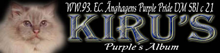 Velkommen til WW.1993. EC. �nghagens Purple Pride DM SBI c 21.