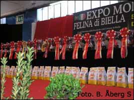 Det flotte set-up/ The impressive set-up of WW trophees.